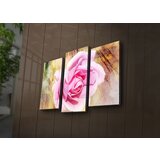 Wallity Set slika sa LED osvetljenjem 3PATİACT-16, 3 Dela | ePonuda.com