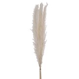 Eglo 428074 - Sušeni cvet GUIPOS 70 cm beli | Eponuda.com
