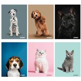  Zvezek a4 mp 1cm karo 54l street friends VSE ZA ŠOLO | Shoptok.si