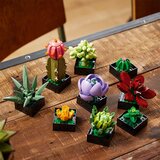 Lego Botanical Collection: Sukulenti | Shoptok.si
