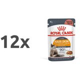 Royal_Canin Intense Beauty - žele 12 x 85 g | Shoptok.si