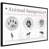  Poster - How to Recognize an Animal 30x20 | shoptok.hr