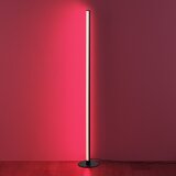 Trio Leuchten Crna LED stojeća svjetiljka (visina 110 cm) Tendo – | shoptok.hr
