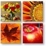  Slike na platnu KOLAŽ 4-delne XOBKOL07E42 (moderne slike na) | Shoptok.si