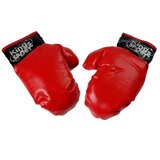  Boxing set, bag, gloves, belt | Shoptok.si