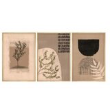 WALLXPERT huhu260 - 50 x 70 Multicolor Decorative Framed MDF Painting (3 Pieces) | ePonuda.com