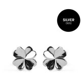 Silver earrings Amuse Silver Cene
