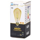 Aigostar led prigušiva sijalica filament ST64 E27/6W/230V 2700-6500K wi-fi | Eponuda.com
