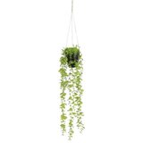 Dekordom 1083464 Cvet u saksiji eucalyptus 54cm - green - edl ( 040439 ) | ePonuda.com