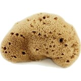 Cose della Natura svilnata spužva - srednja, 8-10 g Cene