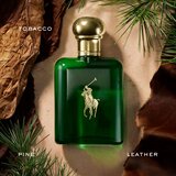 Polo Ralph Lauren Polo toaletna voda za muškarce 125 ml | shoptok.hr