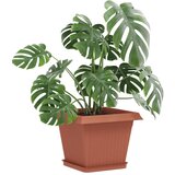  Saksije za biljke 24 pcs Crvena cigla 28,5 x 28,5 x 22 cm | shoptok.hr