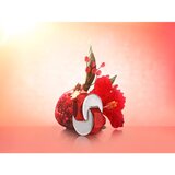 Bvlgari Omnia Coral toaletna voda 65 ml za ženske | Shoptok.si