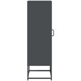  Visoka ploča antracit 36x39x123 cm hladno valjani čelik | shoptok.hr