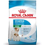 Royal Canin Mini Starter Mother & Babydog - 8 kg | shoptok.hr