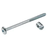 Povezovalni vijak (Ø x Do: 6 x 100 mm)