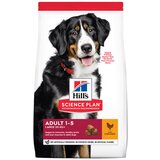 Hill’s Science Plan Adult Large Breed - hrana za odrasle pse velikih rasa sa piletinom (14kg) | Eponuda.com