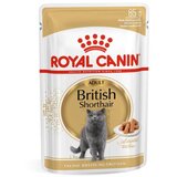 Royal Canin British Shorthair Adult - omaka 85 g | Shoptok.si