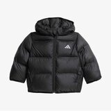 Adidas I sd jkt | Eponuda.com