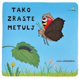 Avrora tako zraste metulj | Shoptok.si