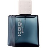 Iceberg Homme 50 ml toaletna voda za moške | shoptok.hr