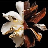 Givenchy L’Interdit Parfum parfum za ženske 80 ml | Shoptok.si