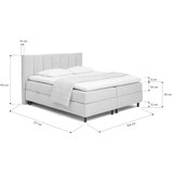 Bonami Selection Siva boxspring postelja s prostorom za shranjevanje 160x200 cm Elva Bold Line – | Shoptok.si