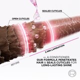 L´Oréal Paris L'Oreal Paris Elseve Glycolic Gloss balzam | ePonuda.com