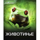 Pčelica Životinje navigatori | Eponuda.com