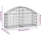  Gabionska košara s lukom 100x30x40/60 cm pocinčano željezo | shoptok.hr