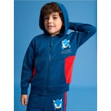 Sinsay gornji dio trenirke s kapuljačom sonic the hedgehog Cijene