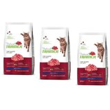 Natural trainer Cat Adult, govedina 3 x 1,5 kg | Shoptok.si