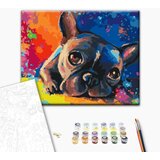  Slika za samostalno slikanje - Colourful French bulldog 50x40 | shoptok.hr