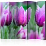  Paravan u 5 dijelova - Purple spring tulips II [Room Dividers] 225x172 Cijene