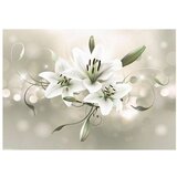  Tapeta - Lily - Flower of Masters 300x210 | shoptok.hr