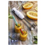 Mesko MS4619 ŠTAPNI MIKSER 300W | Eponuda.com