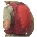 Salomon Nahrbtniki Trailblazer 20 Bordo | Shoptok.si