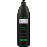 Prosalon Šampon za masnu kosu MEN HAIR CARE 1000g Cijene