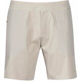 Bergans Men's Shorts Floyen V2 White/Green | Shoptok.si