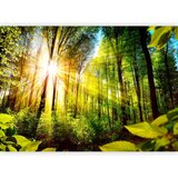  Foto tapeta - Forest Hideout 147x105 | shoptok.hr
