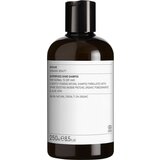Evolve Organic Beauty superfood šampon za sjaj - 250 ml Cijene