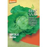 ReinSaat "Ovation" Cene