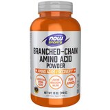 Now Foods BCAA aminokisline v prahu NOW (340 g) | Shoptok.si