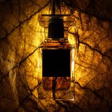 Tom Ford Private Blend Tobacco Chocolat parfumska voda uniseks 100 ml | Shoptok.si