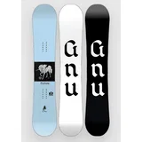 Fiction 2026 Snowboard no color
