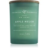 DW Home Charming Farmhouse Apple Melon dišeča sveča 230 g Cene