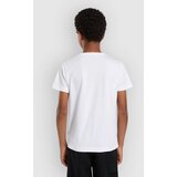 Dickies Camp Graphic T-shirt white | Shoptok.si