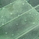  Pravougaona keramika 10 pcs Tamnozelena 29 x 23 x 0,08 cm | shoptok.hr