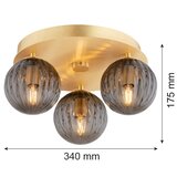  argon 6308 - plafonsko svetlo paloma 3xE14/7W/230V zlatna/crna | Eponuda.com