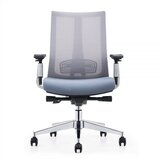  Ergonomska radna stolica hunt niska - crna Cene